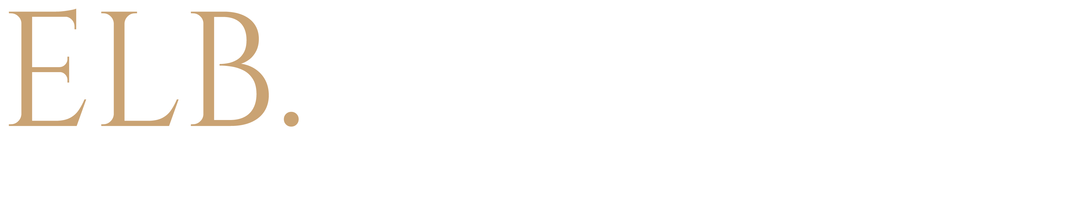 Preloader Logo ELB.SEMINAR.
